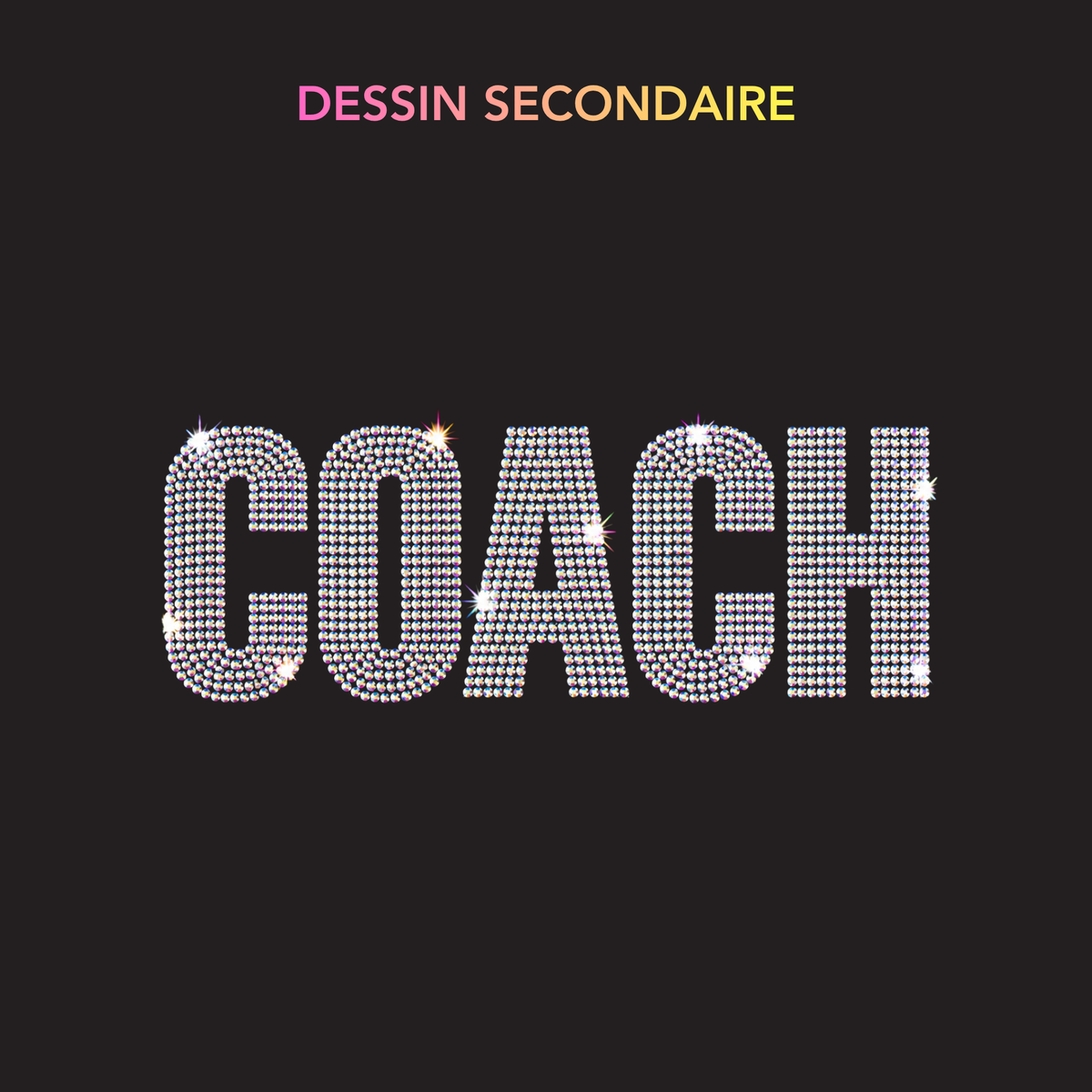 Panthères - Chandail Coach