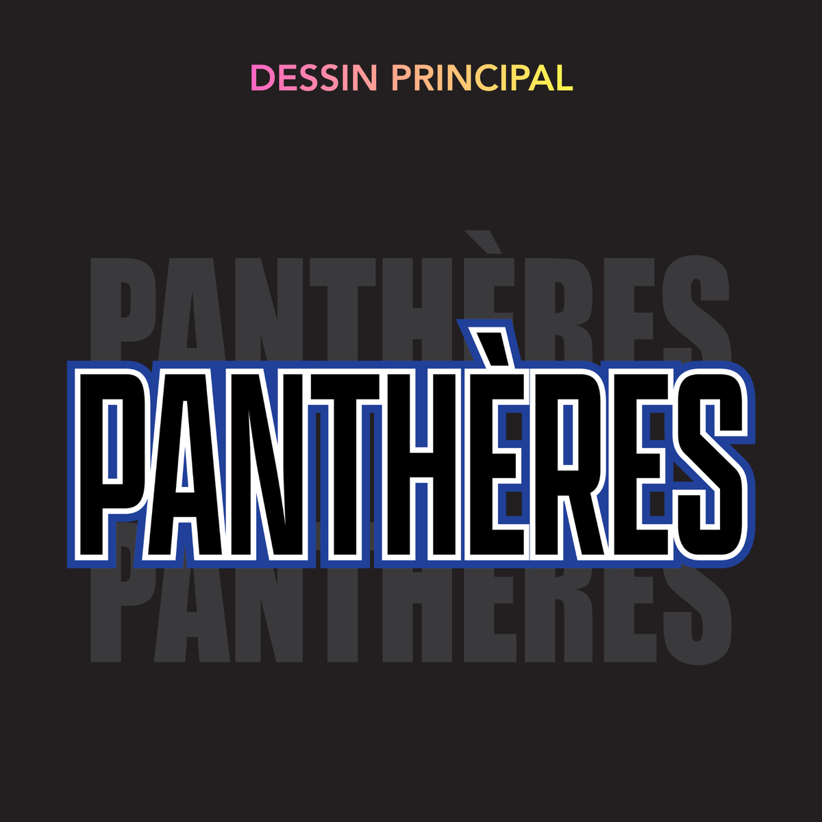 Panthères - Chandail Coach
