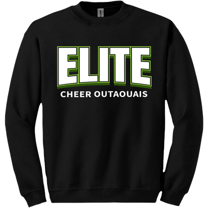 Elite Cheer Outaouais #1